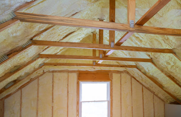 Best Cellulose Insulation  in Fowler, MI