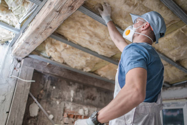 Best Insulation Contractors for Homes  in Fowler, MI