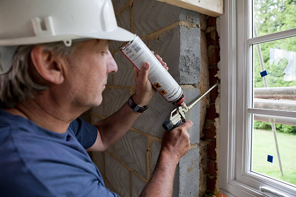 Best Insulation Repair Services  in Fowler, MI