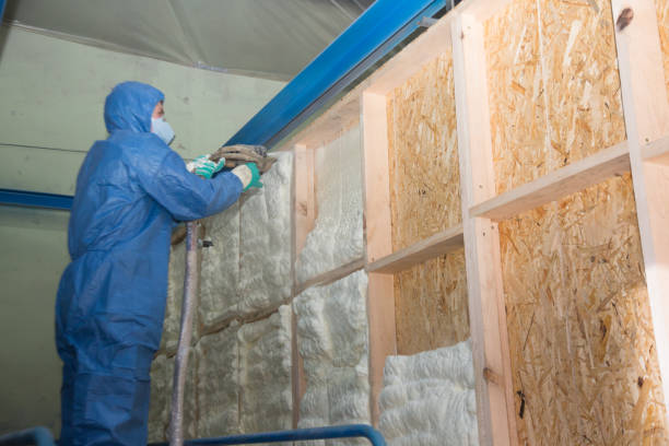 Best Blown-in Insulation  in Fowler, MI