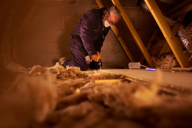 Best Best Insulation Companies  in Fowler, MI